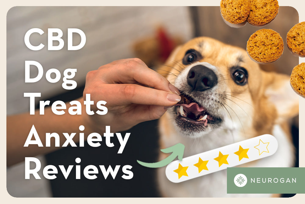 CBD Dog Treats Anxiety Customer Reviews
