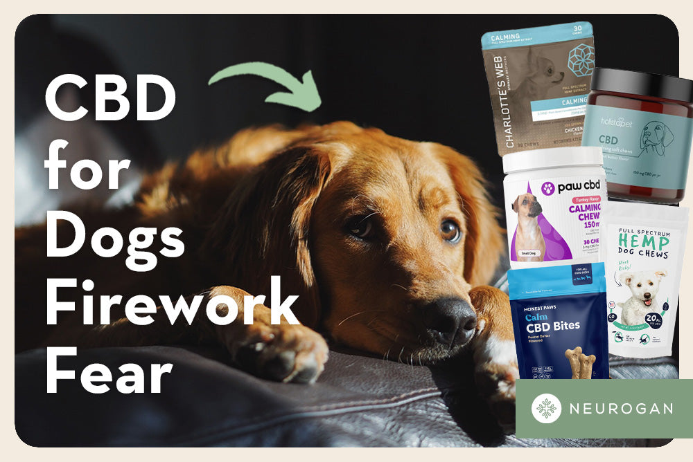 A dog feeling nervous from fireworks. Text: CBD for dogs firework fear