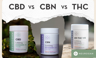 CBD vs. CBN vs. THC