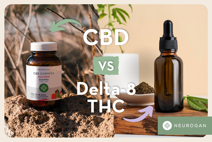 CBD Vs Delta-8 THC: Product Comparison & Differences