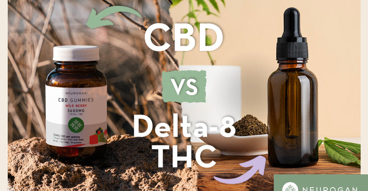 CBD Vs Delta-8 THC: Product Comparison & Differences