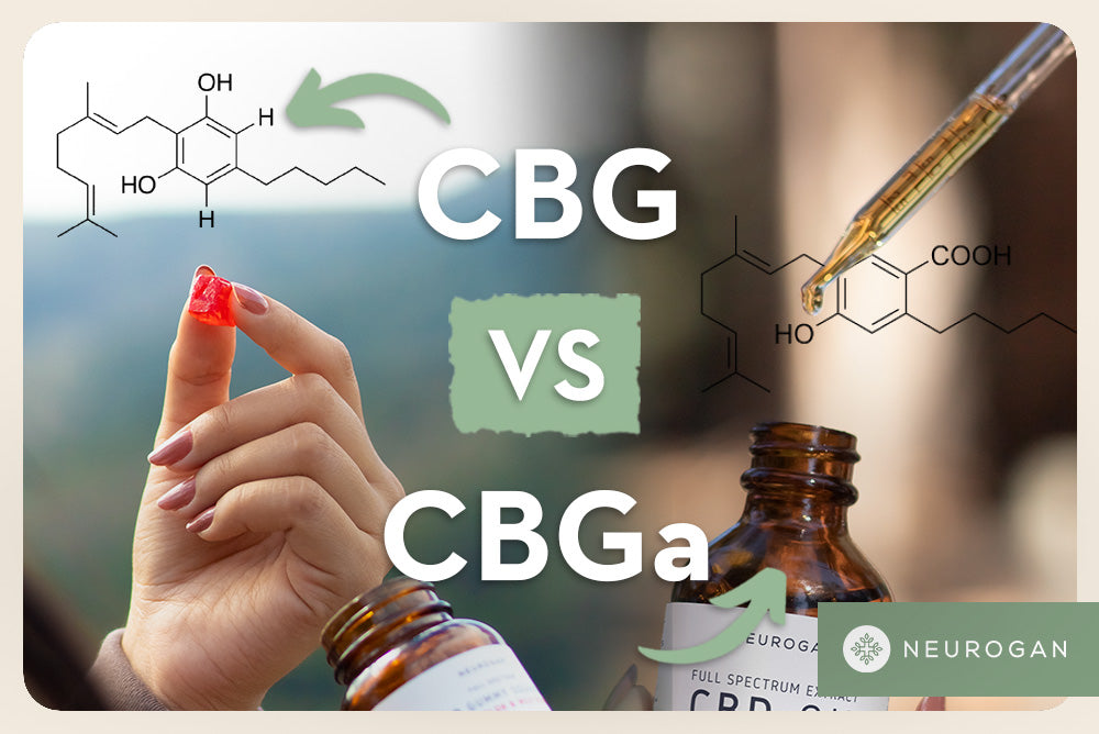 Holding CBG gummies and drops. Text: CBG vs CBGA