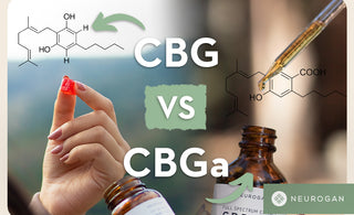 Holding CBG gummies and drops. Text: CBG vs CBGA