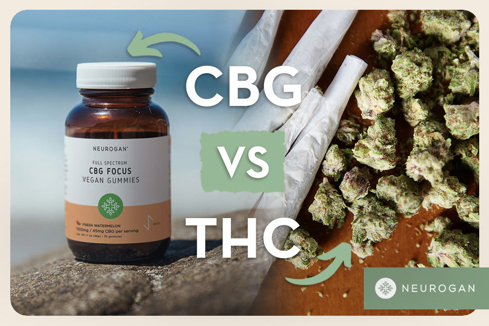 CBD gummies and cannabis joints. Text: CBG vs THC