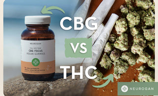 CBD gummies and cannabis joints. Text: CBG vs THC