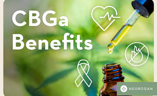 Cannabis flower and a dropper of oil. Text: CBGa Benefits