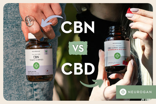 CBN VS CBD: Which Should I Choose?