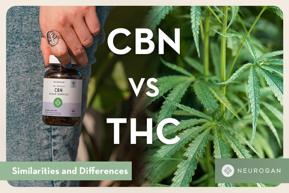 Holding CBN product next to cannabis plant leaves. Text: CBN vs THC