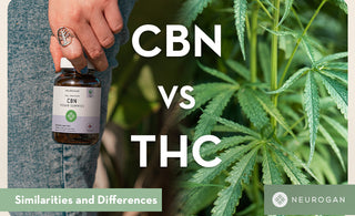 Holding CBN product next to cannabis plant leaves. Text: CBN vs THC