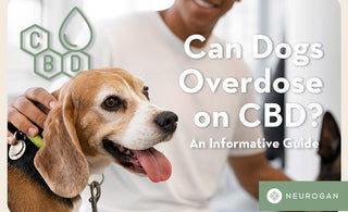 Pet owner with their happy dog. Can Dogs overdose on CBD? 