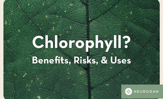 What is Liquid Chlorophyll? Benefits, Risks, & Uses