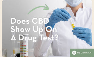 Does CBD Show Up On A Drug Test?