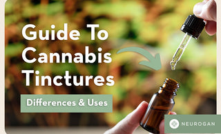Holding a cannabis tincture bottle: Guide to Cannabis Tinctures 