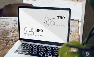 HHC and THC displayed on a laptop