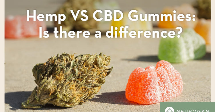 Hemp Gummies VS CBD Gummies: Is There A Difference?