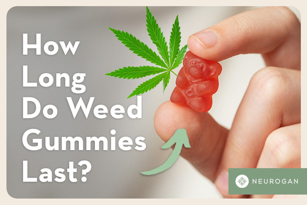 Holding a small weed gummy bear edible. Text: How long do weed gummies last? 