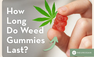 Holding a small weed gummy bear edible. Text: How long do weed gummies last? 