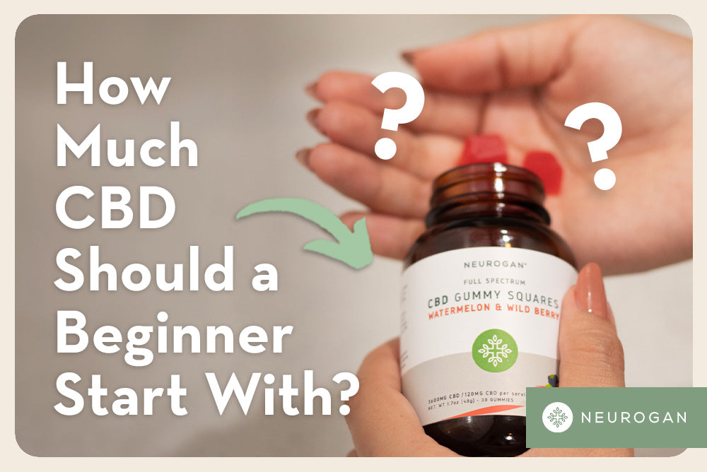 Holding Neurogan CBD Gummies. Text: How Much CBD Should A Beginner Start With? 