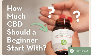 Holding Neurogan CBD Gummies. Text: How Much CBD Should A Beginner Start With? 