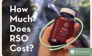 Handheld bottle of RSO gummies. Text: How much does RSO Cost?