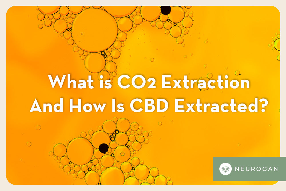 What is CO2 Extraction and how is CBD extracted?