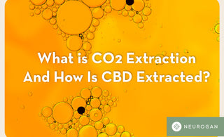 What is CO2 Extraction and how is CBD extracted?