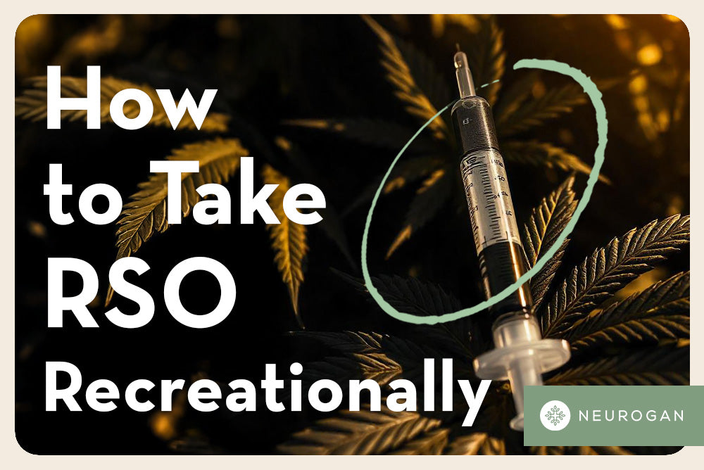 A photo of traditional RSO in a syringe next to cannabis plants. Text: How to take RSO Recreationally 