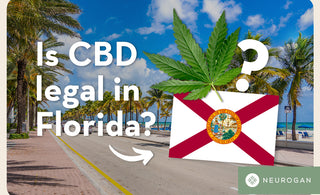 Is CBD legal in the state of florida? 