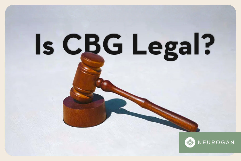 Is CBG Legal? (And Where to Buy Quality CBG Products)