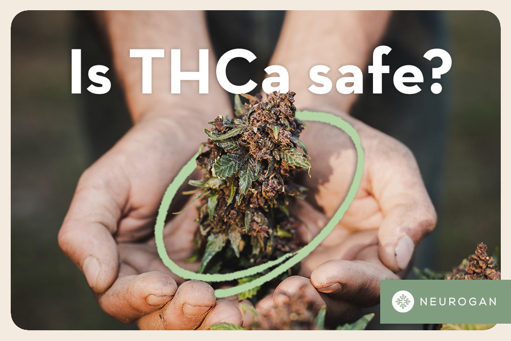 Is THCA Safe? Smoking Safely or Bad for You?