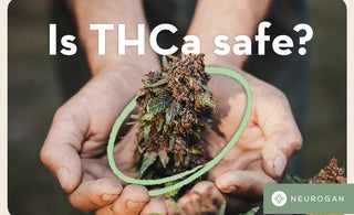 Is THCA Safe? Smoking Safely or Bad for You?