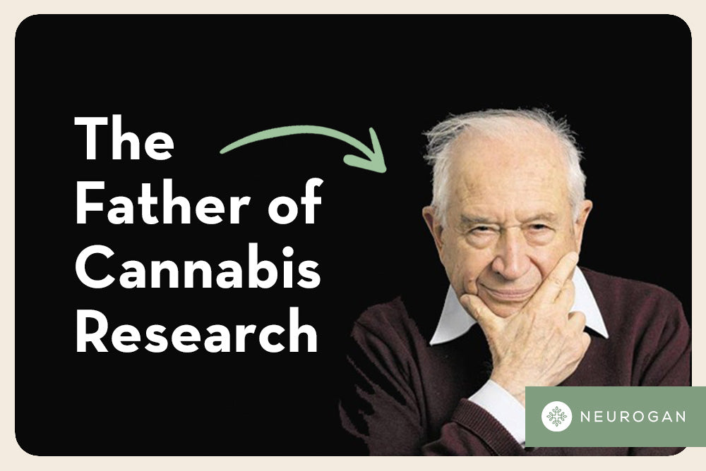 Portrait of Raphael Mechoulam, scientist who discovered THC and cannabinoids.