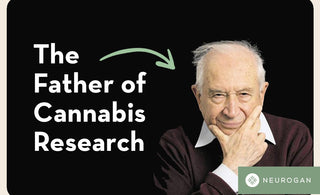 Portrait of Raphael Mechoulam, scientist who discovered THC and cannabinoids.