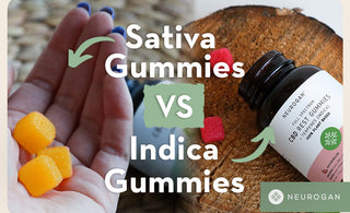 Sativa Gummies and Indica Gummies. Text: Sativa Gummies vs. Indica Gummies
