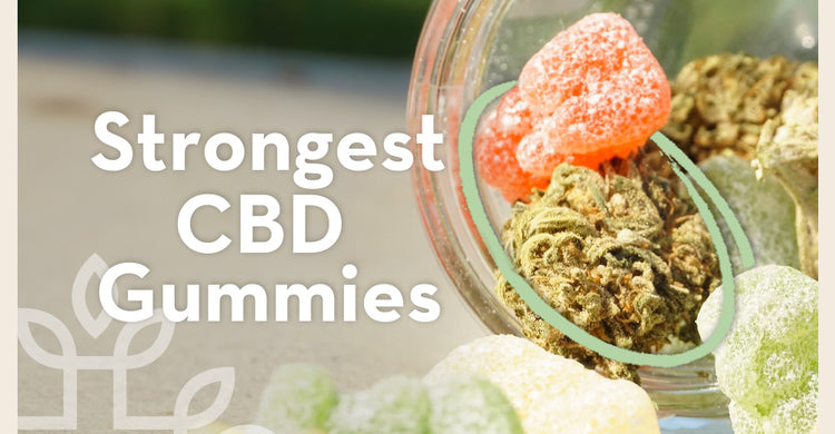 7 Of The Strongest CBD Gummies In 2024 | Maximum Strength