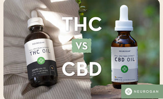 CBD Vs THC: Battle of The Most Helpful Cannabinoid