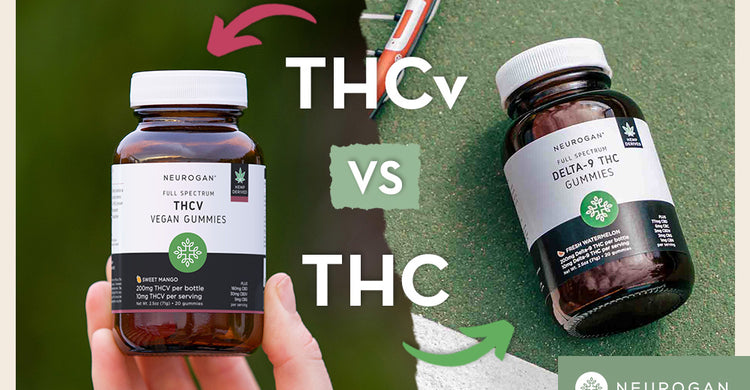 THCv Vs. THC: What's The Difference? Effects & Benefits