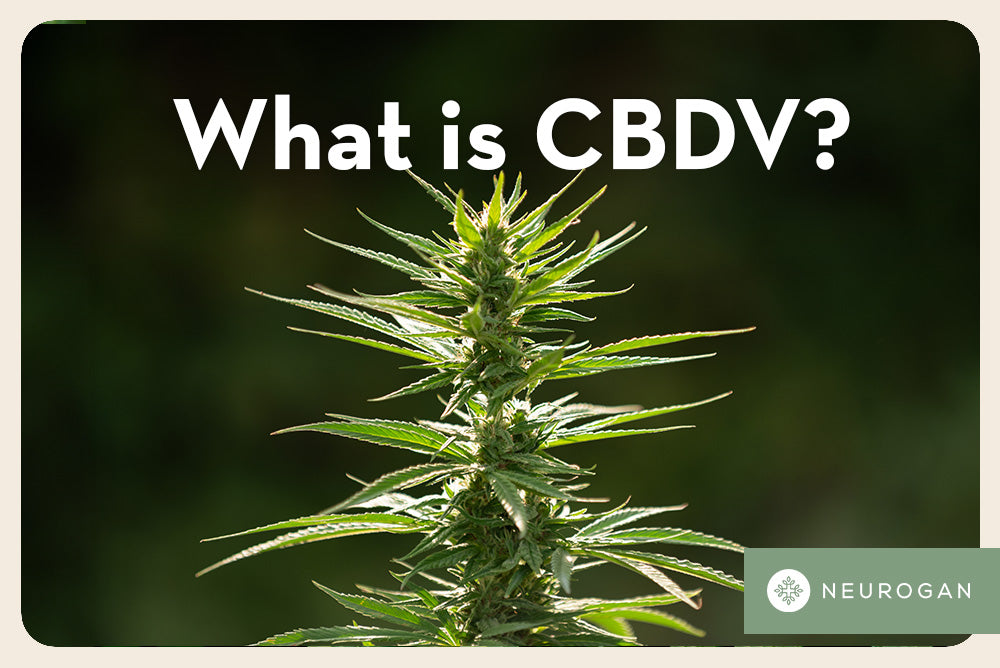 What is CBDV? Is It Better Than CBD?