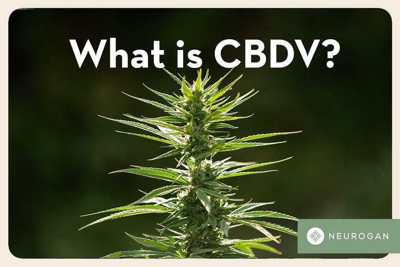 What Is CBDV? Uses, Effects & Benefits Of Cannabidivarin