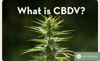 What is CBDV? Is It Better Than CBD?