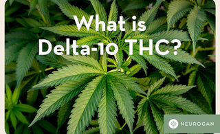What is Delta-10 THC? What's The Difference Between D9 and D8?