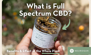 What is Full Spectrum CBD?