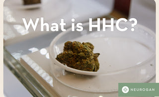 What Is HHC? Learn About The New HHC Cannabinoid & Its Effects