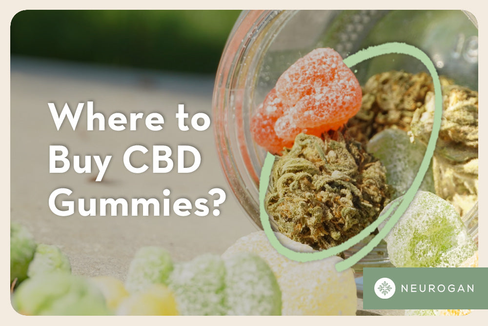 Where to Buy CBD Gummies for Pain Online and in Stores in 2023