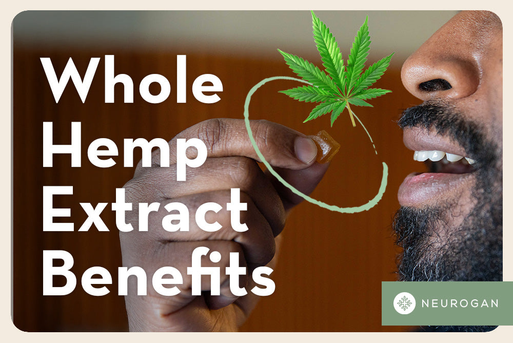 A man about to eat a hemp extract gummy. Text: Whole Hemp extract benefits