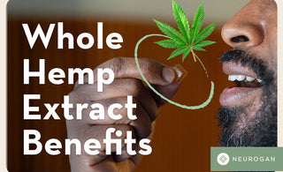 A man about to eat a hemp extract gummy. Text: Whole Hemp extract benefits