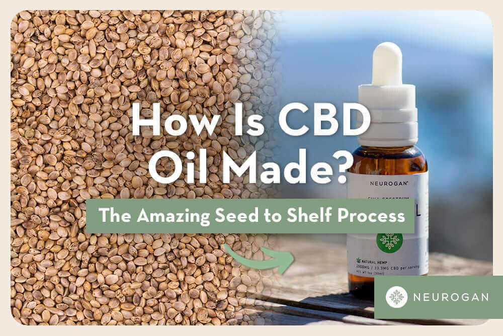 Seeds and a bottle with text: How Is CBD Oil Made?