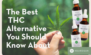  hand holding a hemp leaf and bottles of CBN, CBG and CBD Oil. Text: The Best THC Alternative You Should Know About