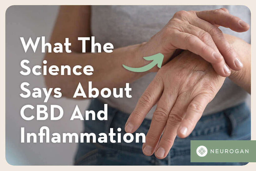 Is CBD Good For Inflammation? What The Science Says – Neurogan