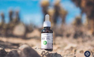 Can You Build CBD Tolerance?